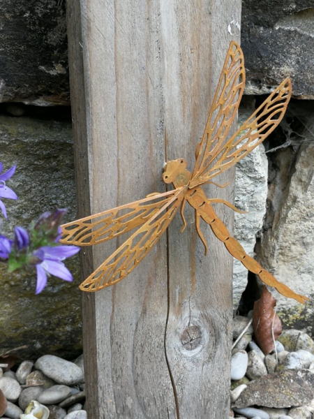 Edelrost Libelle zum Schrauben, geäderte Flügel