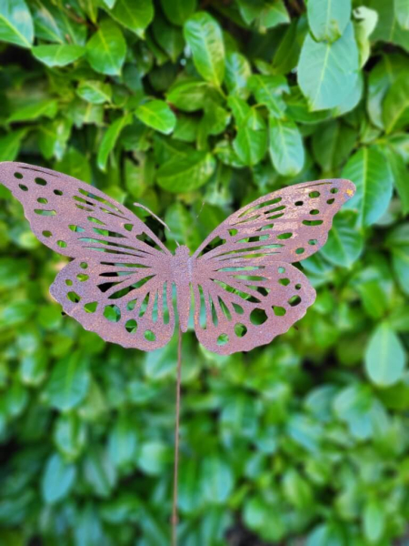 Edelrost Schmetterling Saskia, am Wackelstab