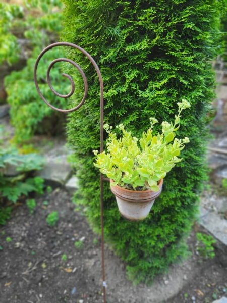 Gartenstecker Schnecke aus Edelrost mit Topfhalter, groß