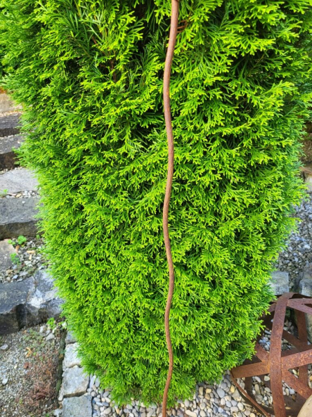 Edelrost Gartenstecker Vogelnest