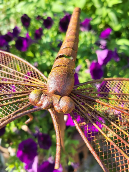 Edelrostoptik Libelle am Stab, Gitterflügel