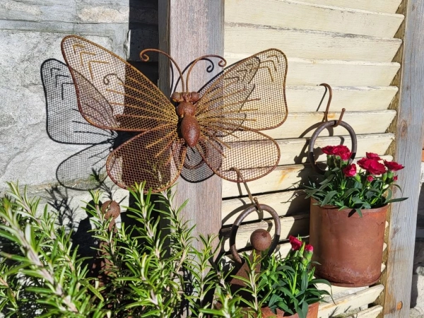 Edelrostoptik Schmetterling, Gitterflügel