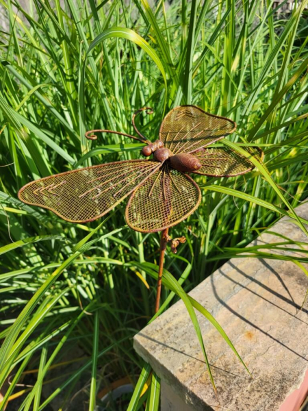 Edelrostoptik Schmetterling am Stab, Gitterflügel