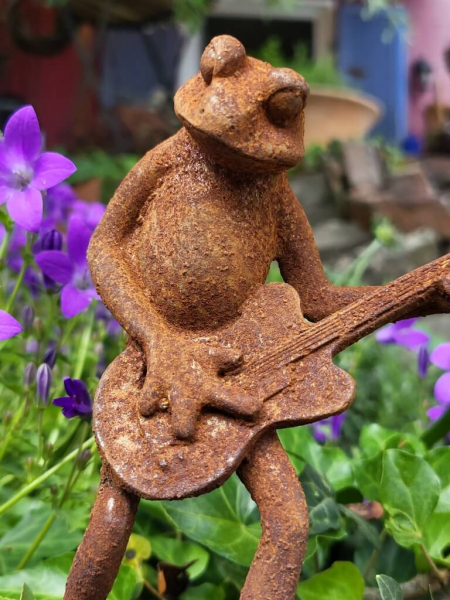 Gusseisen Frosch Herbert mit Gitarre