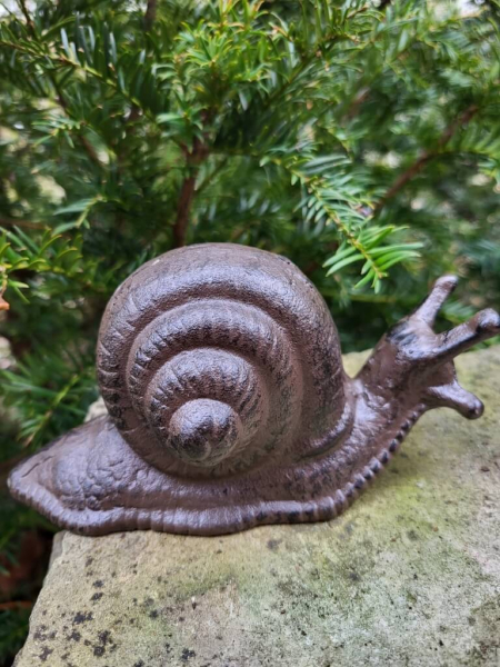 Gusseisen Schnecke Samanta, Kopf gerade