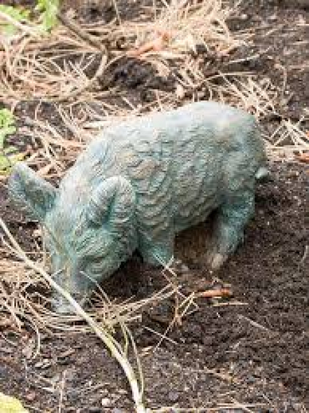 Bronzeskulptur Frischling Kopf nach links